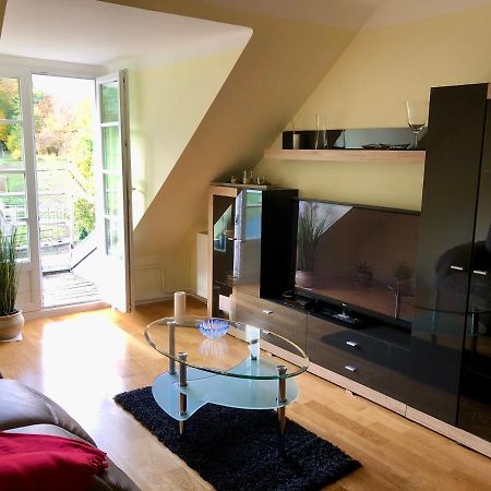 Ferienwohnung Im Gruenen Auf Idyllisch Gelegenen Gutshof Und Doch So Zentral Waldshut-Tiengen Εξωτερικό φωτογραφία