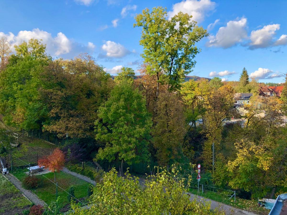 Ferienwohnung Im Gruenen Auf Idyllisch Gelegenen Gutshof Und Doch So Zentral Waldshut-Tiengen Εξωτερικό φωτογραφία